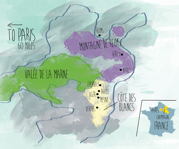 map of Champagne region in France. illustration by Vivian Ho