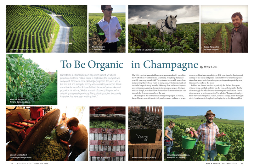 Sustainable Champagne