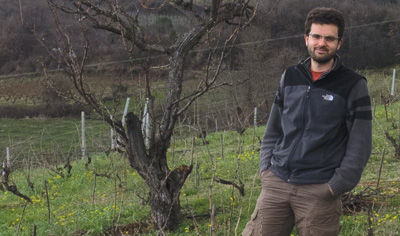 Kostis Dalamara tends the oldest patch of vines in Naoussa.