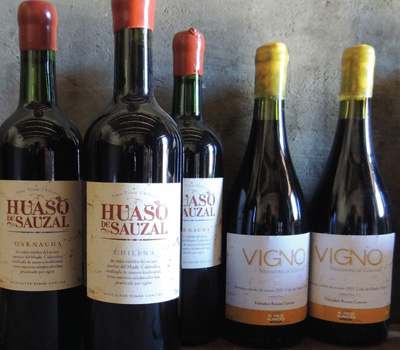 Cancino makes Huasa de Sauzal from two ancient país vineyards near his home town.