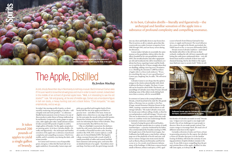 The Apple, Distilled
