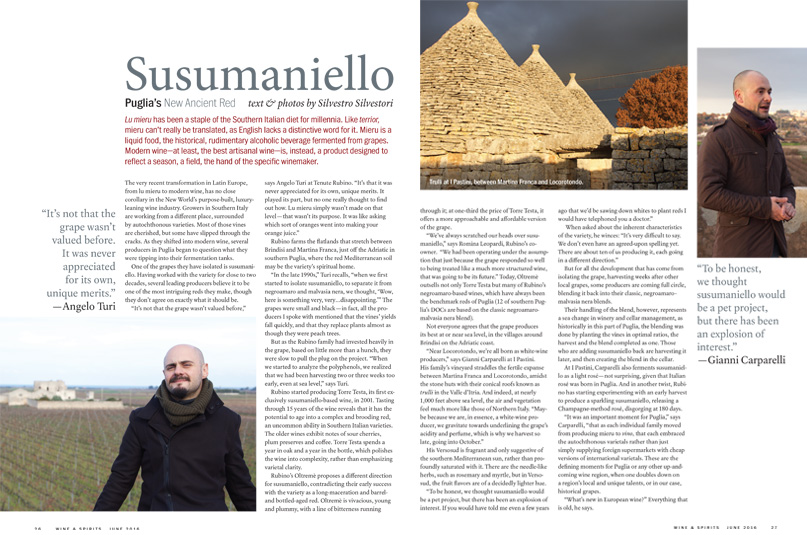 Susumaniello: Puglia’s New Ancient Red