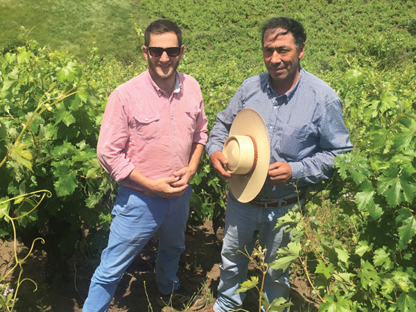 Louis-Antoine Luyt (left) with Tito Saavedra, a pipeño producer in Yumbel, in Bío Bío.