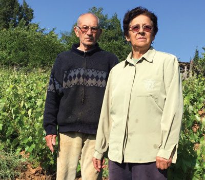 Sara and Luis Burgos at their vineyard in Santa Juana, where they produce a pipeño that Louis-Antoine Luyt bottles for export.