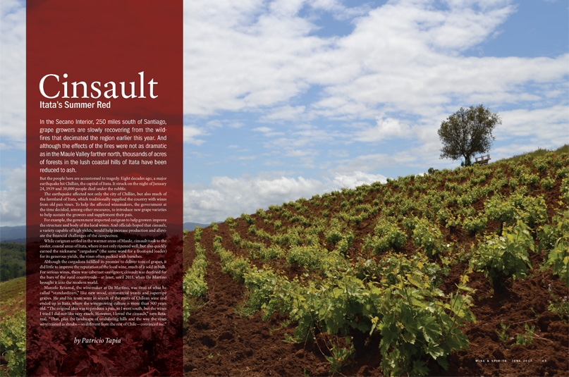 Cinsault: Pinot Noir of the South?