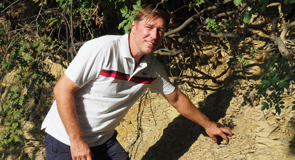 Vertical exposure of opoka soil. Matjaž Četrtič of Ferdinand winery demonstrates the soil’s friability.