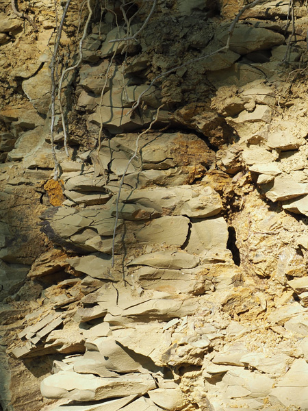 Brda’s opoka soil shows layers of sand, sandstone and marl.