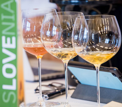 Skin-fermented ribolla wines