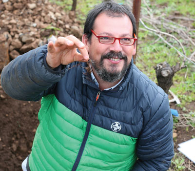 Pedro Parra at work in the Witness Tree Vineyard, digging for signs of deteriorating basalt, or altérite, fractures in the rock where vine roots can find moisture and the right amount of nutrients.