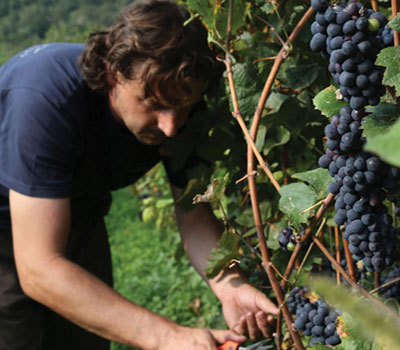 Andrea Arici of Colline della Stella