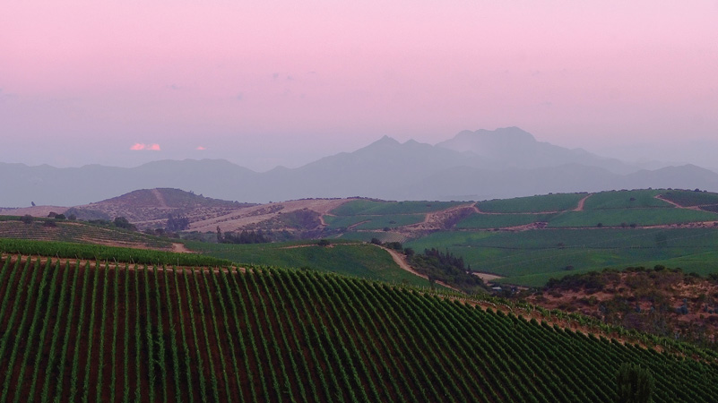 The schist hills of Manzanar, Errazuriz’s estate in far-coastal Aconcagua