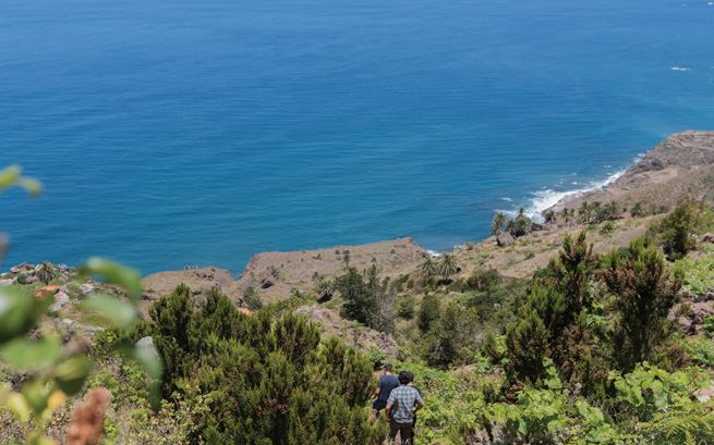 The vines at Margalagua, in Taganana, on the northeastern tip of Tenerife, grow untrained, as they do in the sands of Colares, west of Lisbon. photo by Jimmy Hayes.