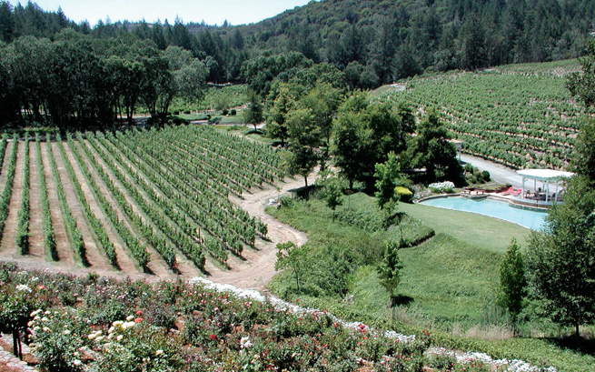 The iron-rich soils of Diamond Creek’s Red Rock Terrace (foreground) face the white volcanic ash across the creek on Volcanic Hill.