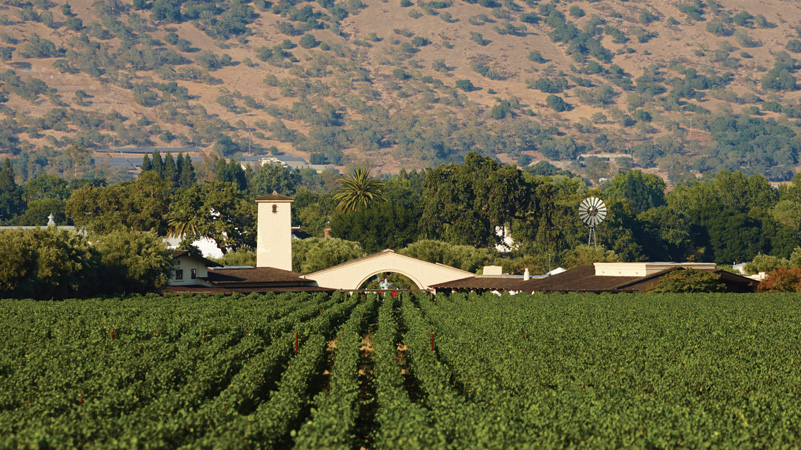 Robert Mondavi Winery’s arch frames the To Kalon Vineyard, on the western benchlands of Oakville