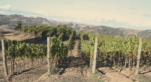 Jasmine Hirsch, her father, David, and a view of Block 8 at Hirsch Vineyard on Sonoma’s far coast.