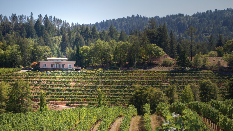 Diamond Creek winery above Red Rock Terrace