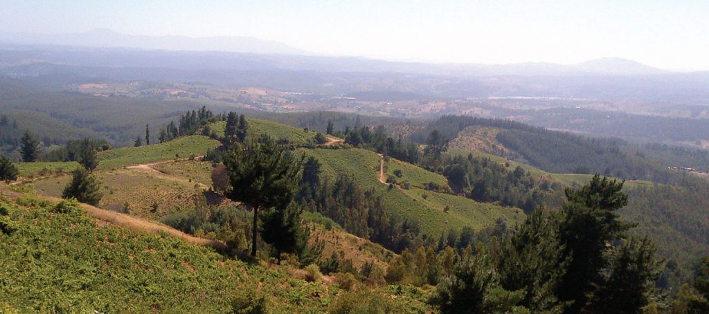 Cerro Verde, Itata Valley