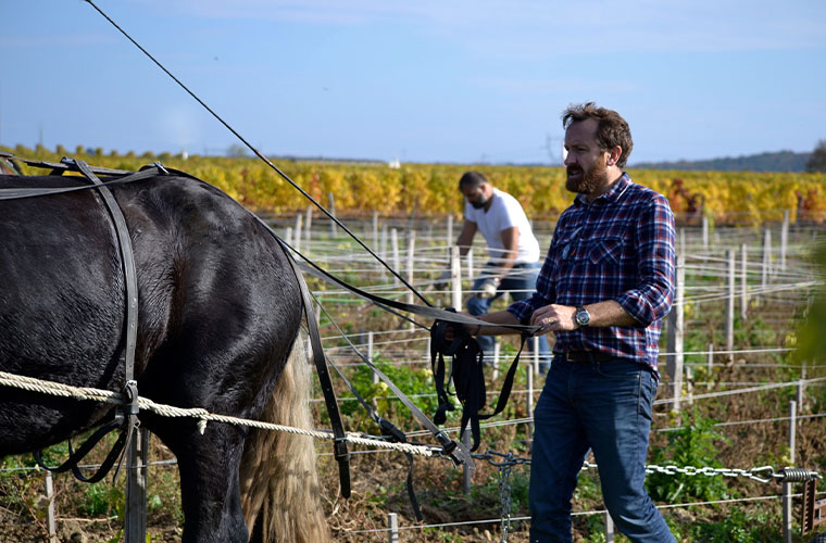 Sparkling Chenin Blanc - Wine & Spirits Magazine - Vimarsana News