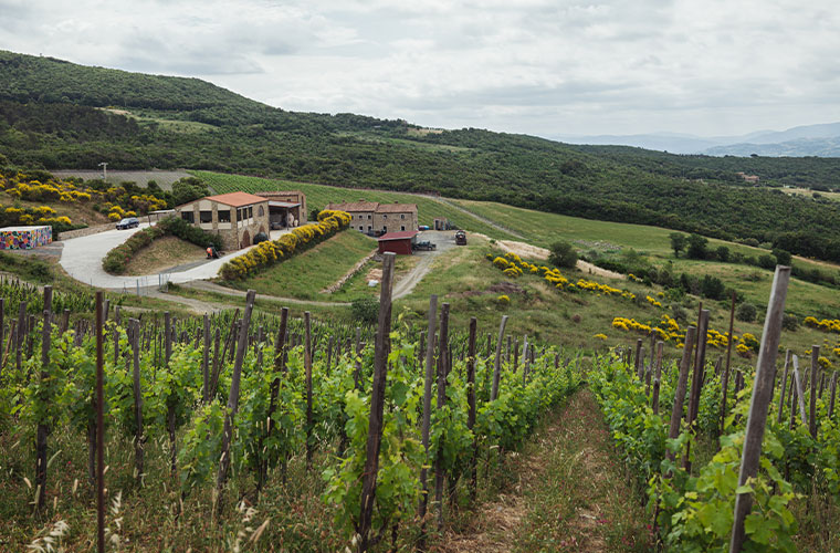 Le Tenute del Leone Alato Acquires Duemani - Wine & Spirits Magazine - Vimarsana News