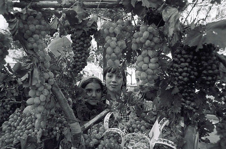 Crisp Catalanesca - Wine & Spirits Magazine - Vimarsana News