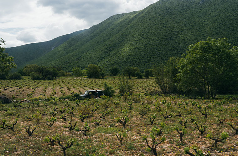 Out of Thin Air - Wine & Spirits Magazine - Vimarsana News