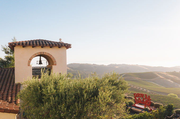 Treasury Wine Estates Announces Acquisition of Daou Vineyards - Vimarsana News