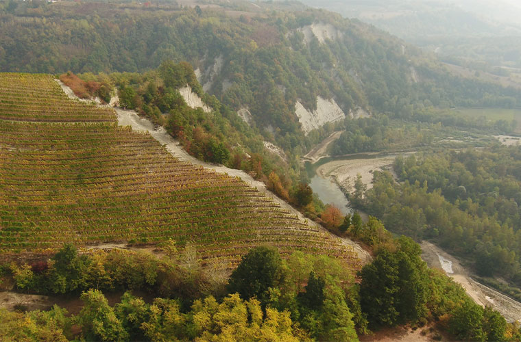 Alta Langa - Wine & Spirits Magazine - Vimarsana News