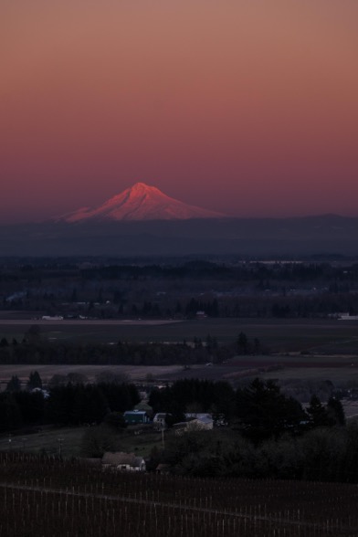 The majestic Mt. Hood at sunset from Brooks Vineyard
