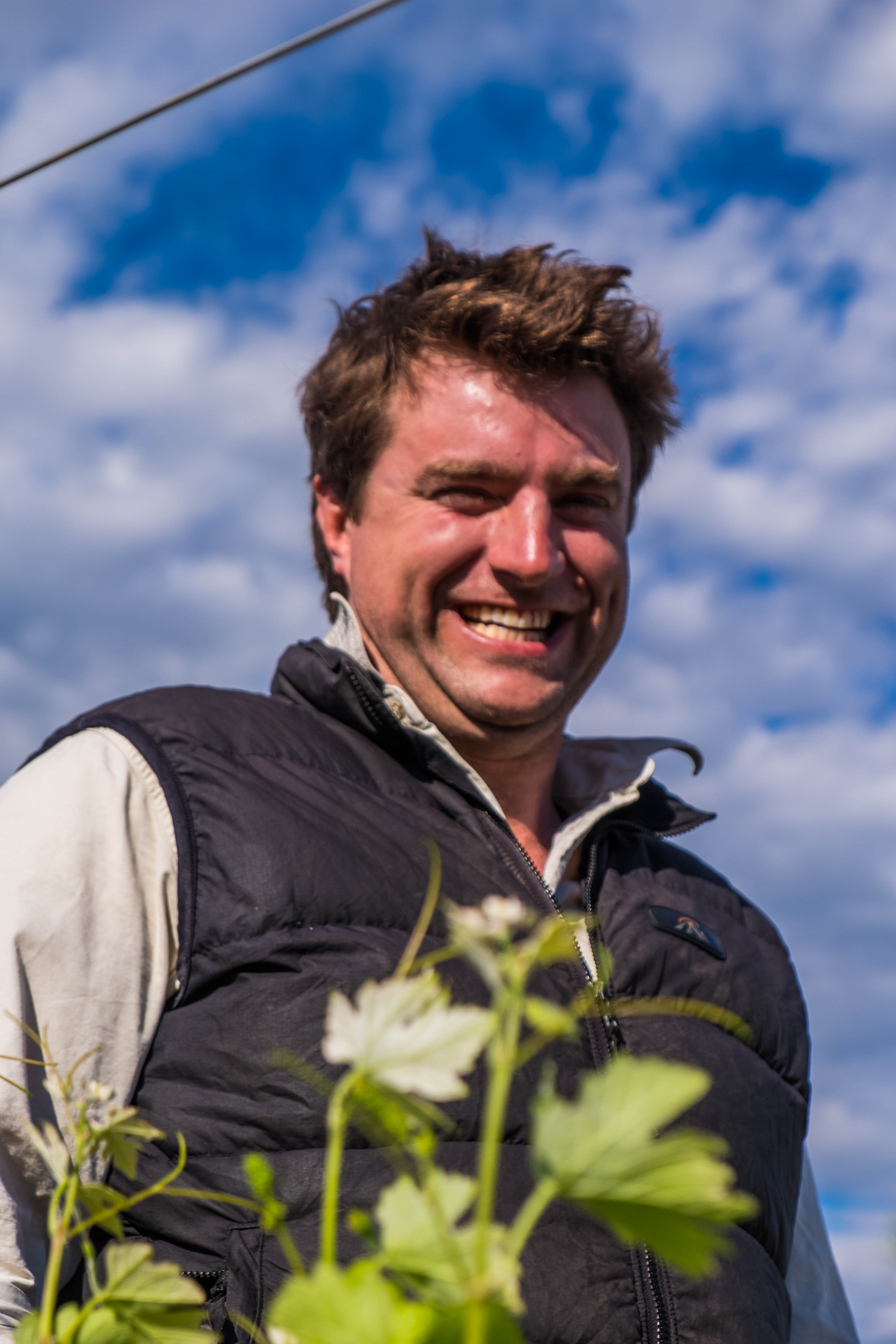 Stuart Hodern, Winemaker at Brokenwood