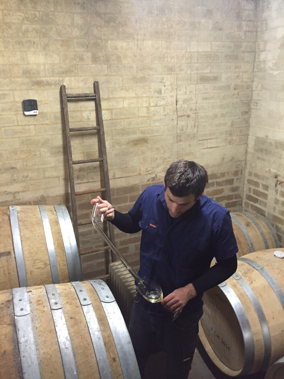 Barrel tasting with Dylan McMahon